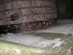 2001.08.08 15.25.20.jpg